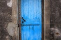 Old blue door Royalty Free Stock Photo