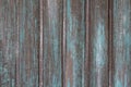 Old blue gray wall fence from wooden boards with ragged white paint close up. vertical lines. rough surface texture Royalty Free Stock Photo