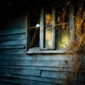 an old blue house with a window and weeds growing in front of it Royalty Free Stock Photo