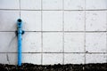 Old blue industrial pipe on the dirty wall. Royalty Free Stock Photo