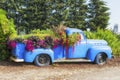 Old blue pickup used as a planter for flowers