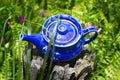 Decorative blue teapot used as garden ornament on tree stump