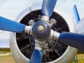 Old blue propeller