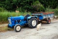 Vintage Blue Tractor and Trailer and a White Dog Royalty Free Stock Photo