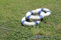 blue and white lifebelt ring on grass Royalty Free Stock Photo