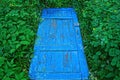 Old blue wooden door lies in green grass and vegetation