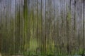 old board wall surface, greenish-gray surface, background Royalty Free Stock Photo