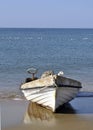 Old boat at the beach with the seagulls flying over the sea in the background Royalty Free Stock Photo