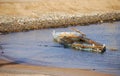 Old boat Royalty Free Stock Photo