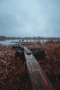 An old boat dock in the lake. Autumn with fog over the water and movie atmosphere. Royalty Free Stock Photo