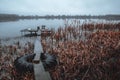 An old boat dock in the lake. Autumn with fog over the water and movie atmosphere. Royalty Free Stock Photo