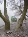 An old boat in the fog covered with frost in a willow grove. Royalty Free Stock Photo