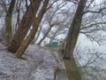 An old boat in the fog covered with frost in a willow grove. Royalty Free Stock Photo