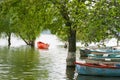 An old boat near the tree Royalty Free Stock Photo