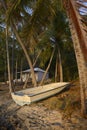 Old boat and palm trees, Cooper Island, BVI