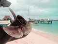 Old boat Propeller on a beach view