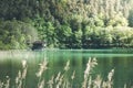 Old boathouse at a lake, reed an forest