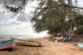 Old boats on the beach of Tofo