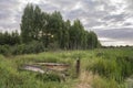 Old boats on the grassy shore