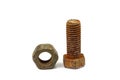 Old bolt with a nut Royalty Free Stock Photo