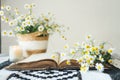 An old book and a bouquet of daisies, atmospheric aesthetic photography Royalty Free Stock Photo