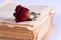 Old book and dry rose Royalty Free Stock Photo