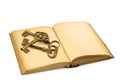 Old book with keys Royalty Free Stock Photo