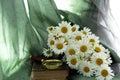 Old book, magnifier and daisies