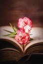 Old book and pink white carnation flower on a dark wooden background Royalty Free Stock Photo