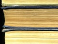 Old book. Sheets of an old book. Macro Royalty Free Stock Photo