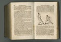 Old book, vintage and fitness guide of antique manuscript, scripture or ancient literature on exercises against a studio