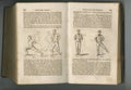 Old book, vintage and history of fitness guide, antique manuscript or ancient scripture in literature on exercises