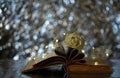 Old book with white rose