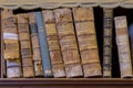 Old books on bookshelf in ancient Palatina Library in Parma Royalty Free Stock Photo