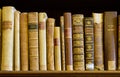 Old books on bookshelf in ancient Palatina Library in Parma