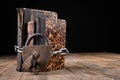 Old books bound by a new shiny chain with an old padlock. Forbidden old works artists on a wooden table Royalty Free Stock Photo