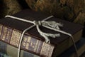 OLD BOOKS BOUND WITH WHITE ROPE