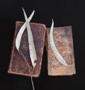 Old books with dead eucalyptus leaves