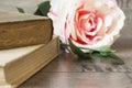 Old books and flower rose on a wooden background. Romantic floral frame background. Picture of a flowers lying on an antique book