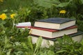 Old books on the grass Royalty Free Stock Photo