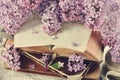 Old books and purple lilac blossoms Royalty Free Stock Photo