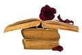 Old books and red faded rose on a white background Royalty Free Stock Photo