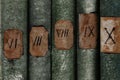 Old books with Roman numerals in the library Royalty Free Stock Photo