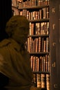 Old books on the shelves inside the Old library in Trinity College, Dublin - Ireland