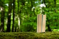 Old books standing on green moss in forest with trees in background