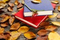 Old books with vintage clock among autumn leaves and bright natural sunlight - autumn still life, focus at the clock and