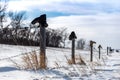 Old Boots on top of a Fence Line in the Snow