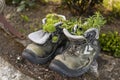 Old boots used as flower pots Royalty Free Stock Photo