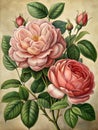 Old botanical hyper-detailed illustration, pattern design, AI generated