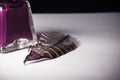 old bottle of red purple ink with feather old vintage writing concept on white sheet of paper Royalty Free Stock Photo